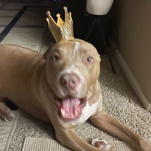 Meet your Posher, Jocelyn